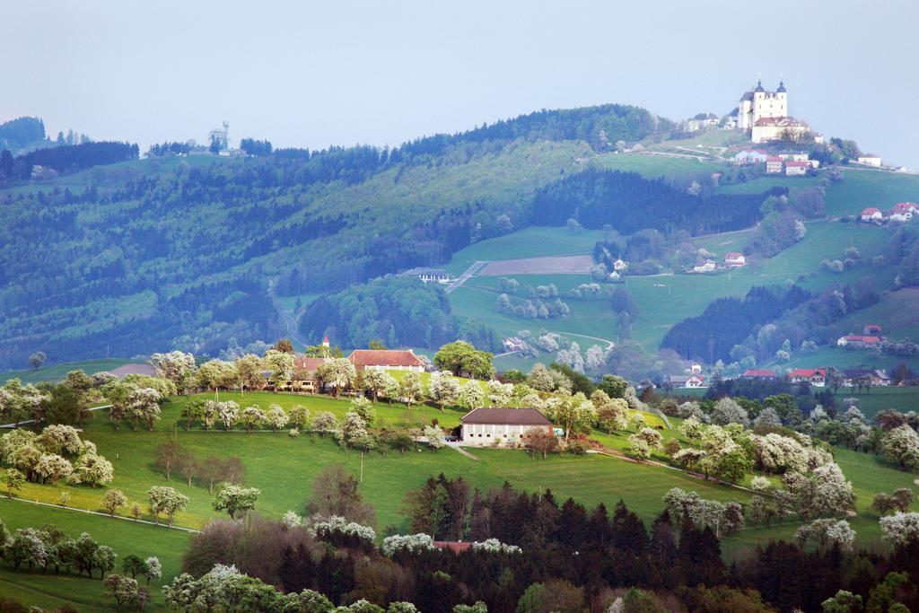 Landhotel Moshammer Waidhofen an der Ybbs Exterior foto